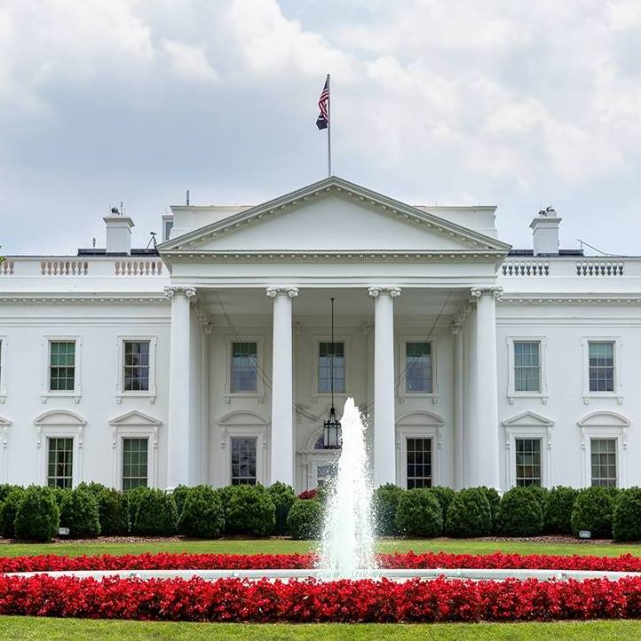 the white house